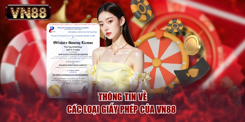 Thông tin về các loại giấy phép của VN88